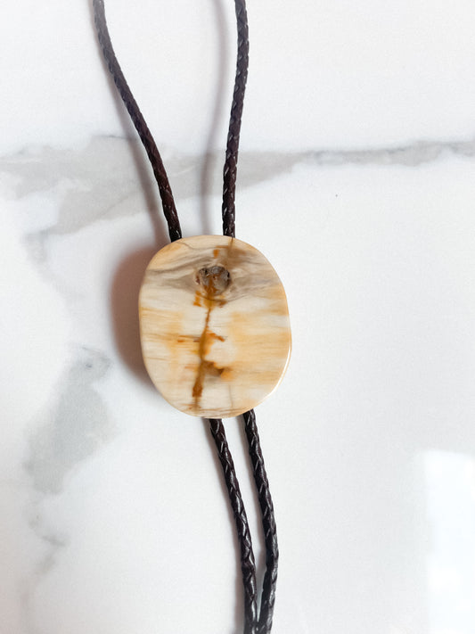 Petrified Wood Bolo Tie With Brown Leather Cord and Silver Tone Tips