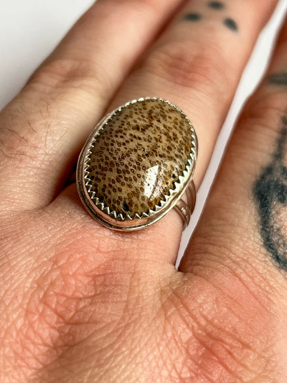 Split Band Sterling Silver Ring With Fossilized Palm